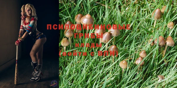 дмт Бугульма