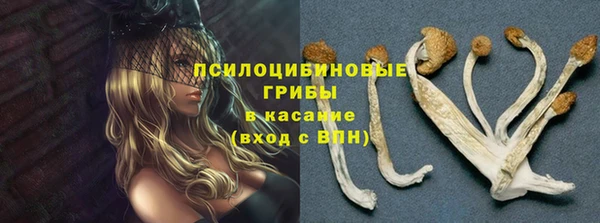 эйфоретик Белокуриха