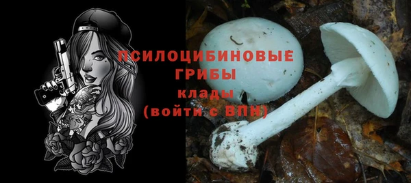 apvp Богородицк