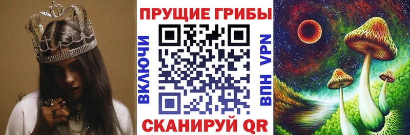 Псилоцибиновые грибы Psilocybine cubensis  Канск 